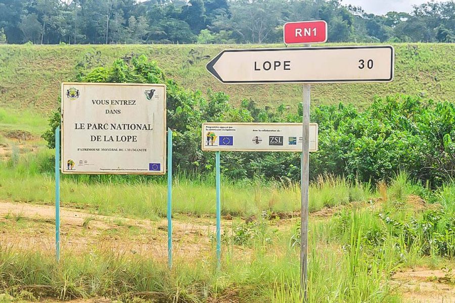 12 Jours et 11 nuitées à la découverte de Libreville, du parc de Louango et du parc de la Lope